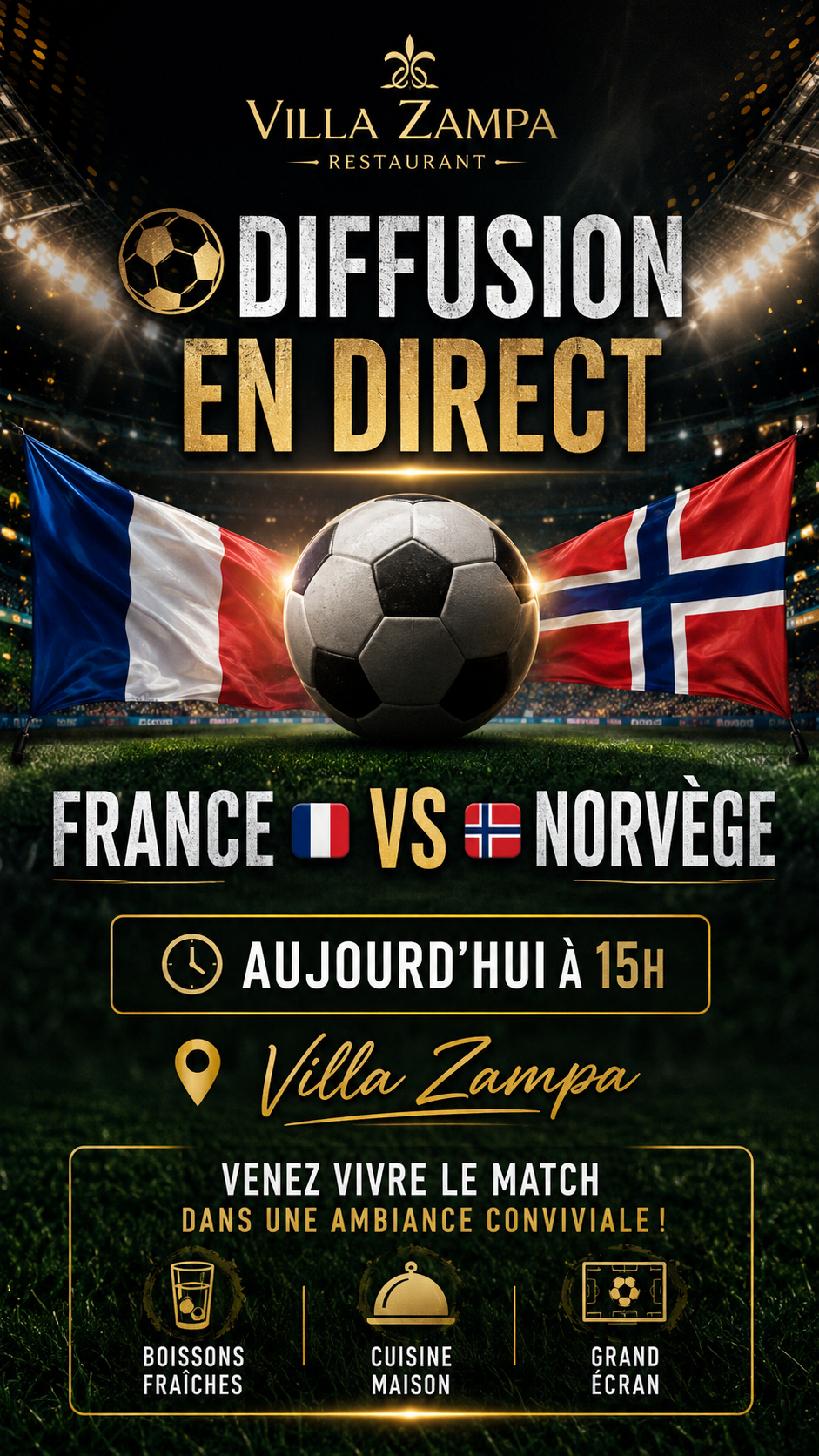 Affiche France vs Norvège